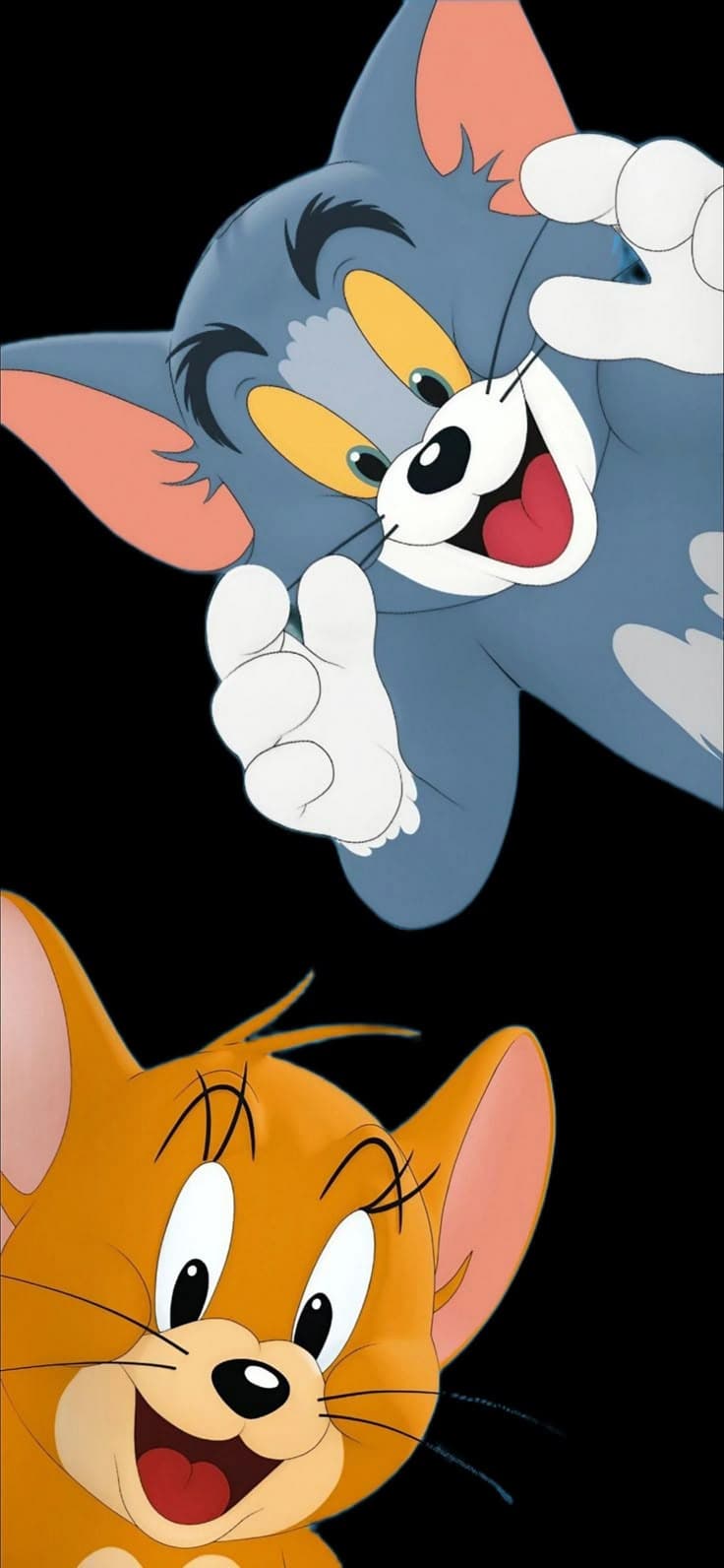 Tom and Jerry cartoon characters